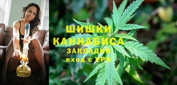 шишки Алексеевка